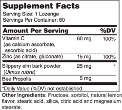 Wellness Works Zinc Lozenges 15 mg (10165) Supplement Facts